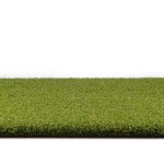 SPORTS PUTT 50